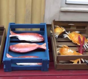 Themenbereich Island