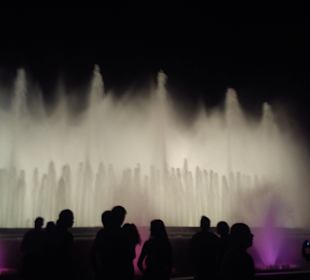 Fuente Magica