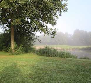 Die Anlage im Frühnebel