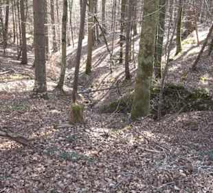 Geologischer Lehrpfad Kirnbachtal