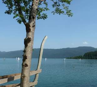 Seeblick
