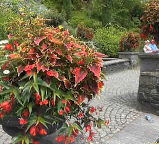 Italienische Blumen-Wassertreppe