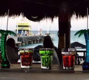 Senor Frogs,Playa del Carmen