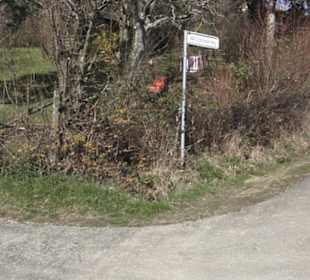 HAP Grieshaber Rundweg