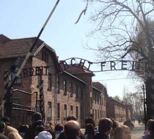 Konzentrationslager Auschwitz