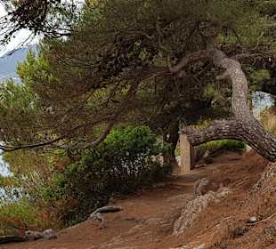 Höhlen von Arta/Cuevas de Artá