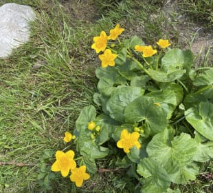 Radfahren Oberstdorf