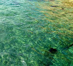 Klares Wasser