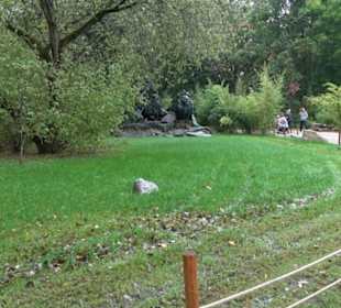 Regenwaldhaus