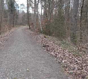 Unterjesinger Wengertwegle