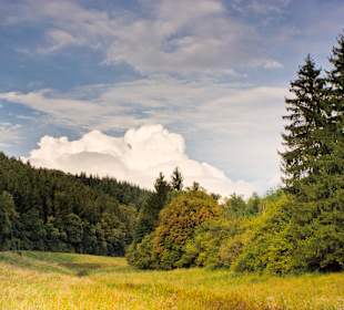 Wandern Geisfeld