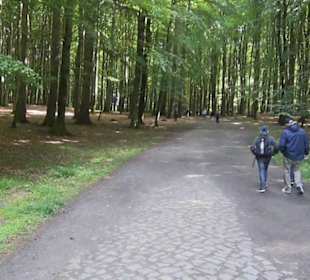 Nationalpark Jasmund
