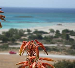 Ausflug nach Elafonissi