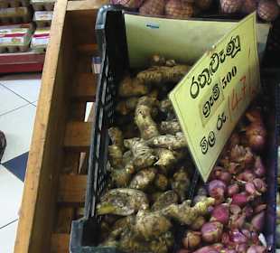 Food City - Discounter