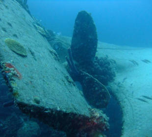 Schiffsschraube der Hilmar Hooker