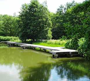 Impressionen vom Echternacher See