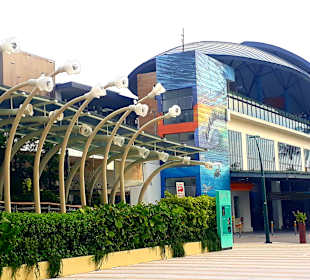 Sentosa Express