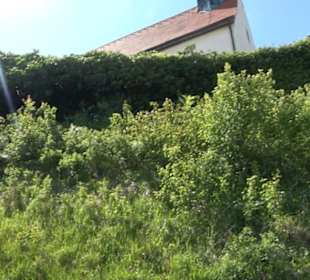 Früchtetrauf - Wurmlinger Kapellenwegle