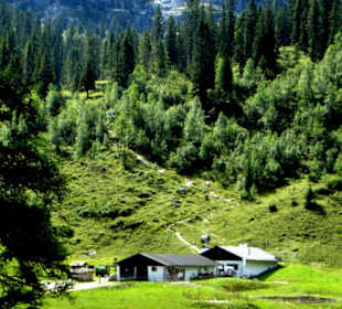 Die Alm am Fuße der Berge