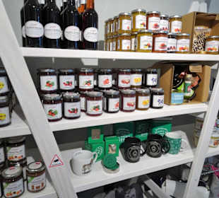 Blick auf die Auslagen der Fiev Sinn Shop Lounge