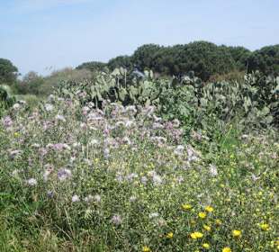 Wunderschöne Costa Rei