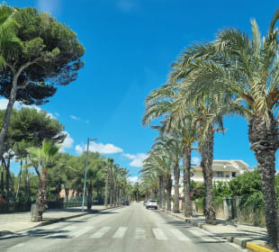 Stadtrundgang Can Picafort