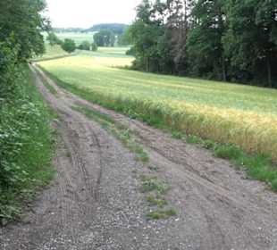 Wanderweg - Alter Steinbruch Pfaffenberg Runde