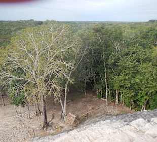 Coba früh morgens, ganz allein!