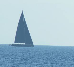 Barca a vela