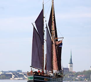 Kajsamoor 