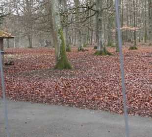 Wildpark Eichert