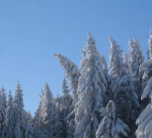Winterlandschaft