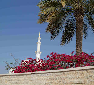 Grand Moschee