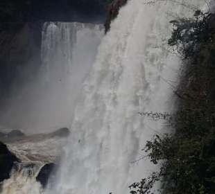 Iguassus kleine Schwester