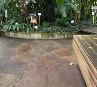 Tropicarium