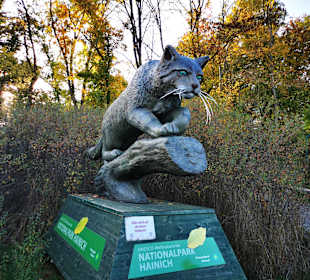 Nationalpark Hainich-Baumkronenpfad