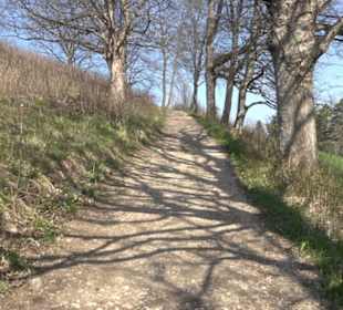 Wanderung Florianrunde