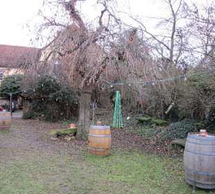 Kimichs Garten Deidesheim
