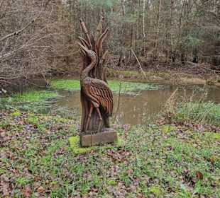Wandern Bernkastel-Kues