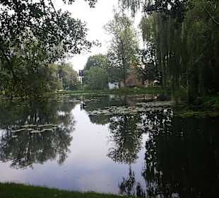 Palmiarnia Park Oliwski