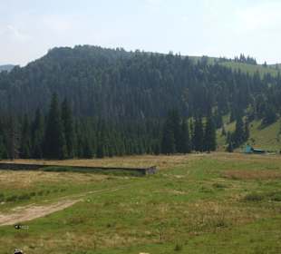 Parcul Natural Apuseni