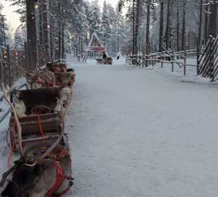 Rentierschlitten fahren