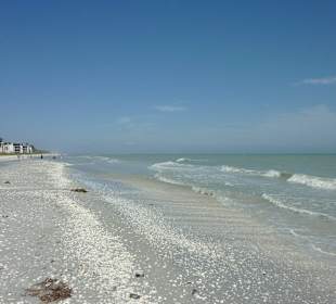 Strand von Sanibel