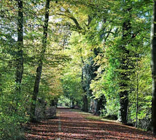 Herbststimmung am Stadtwall Wildeshausen