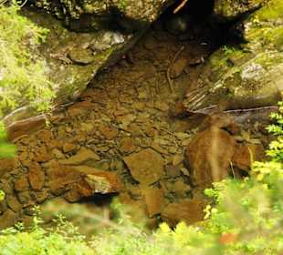 Bachlauf klares Wasser
