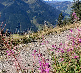 Wandern Saalbach-Hinterglemm
