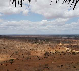 Tsavo Ost und West Safari