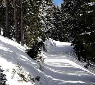 Waldwanderweg in Leogang