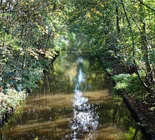Der Zufluss zum Drielaker See