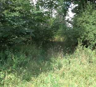 Burgruine Blankenstein